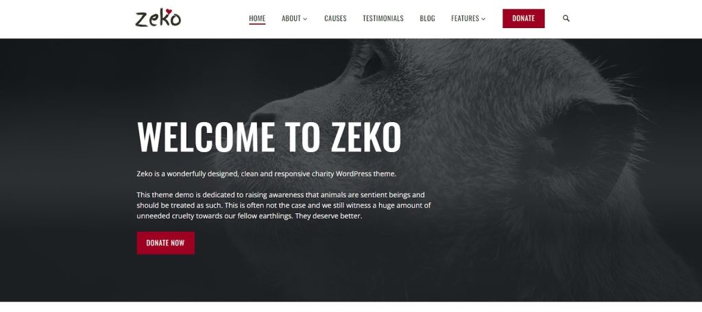 use zeko as a wordpress theme for nonprofits