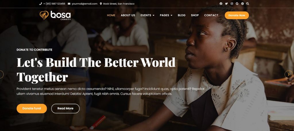 bosa charity wordpress theme