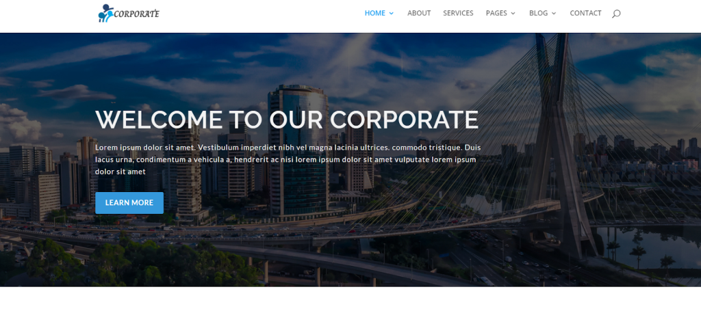 Divi corporate WordPress theme
