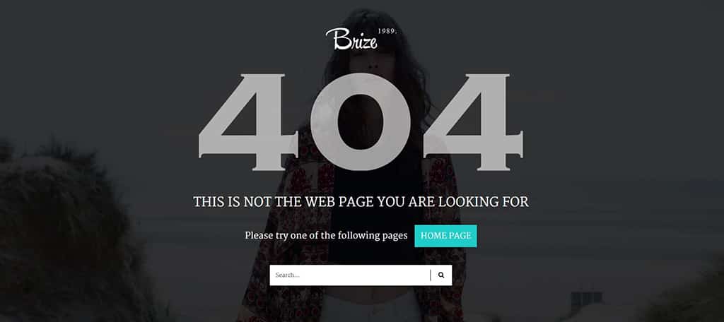 error 404 from theme