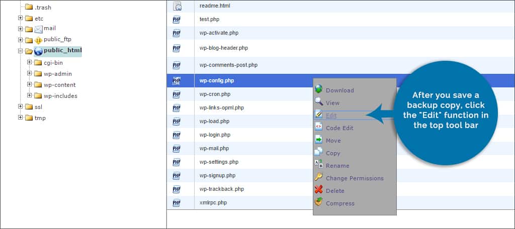 How to Make Changes to the wp-config.php File in WordPress 12 edit function