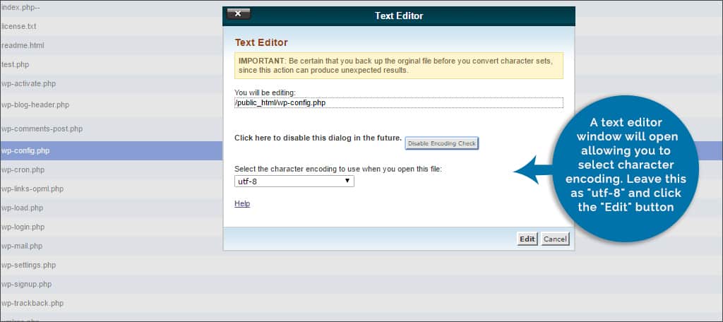 How to Make Changes to the wp-config.php File in WordPress 13 text editor function
