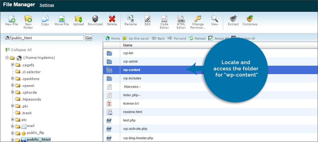 locate wp-content