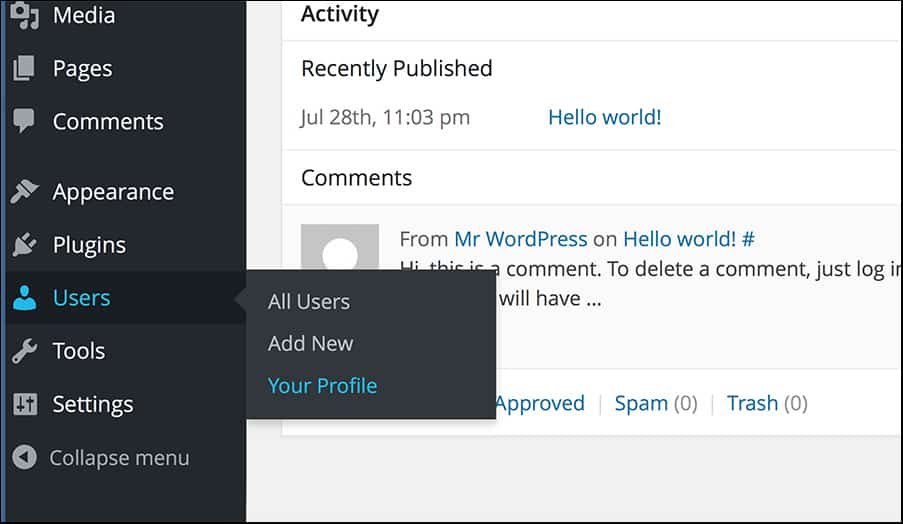 disable_visual_editor1