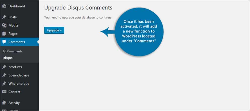 upgrade disqus comment