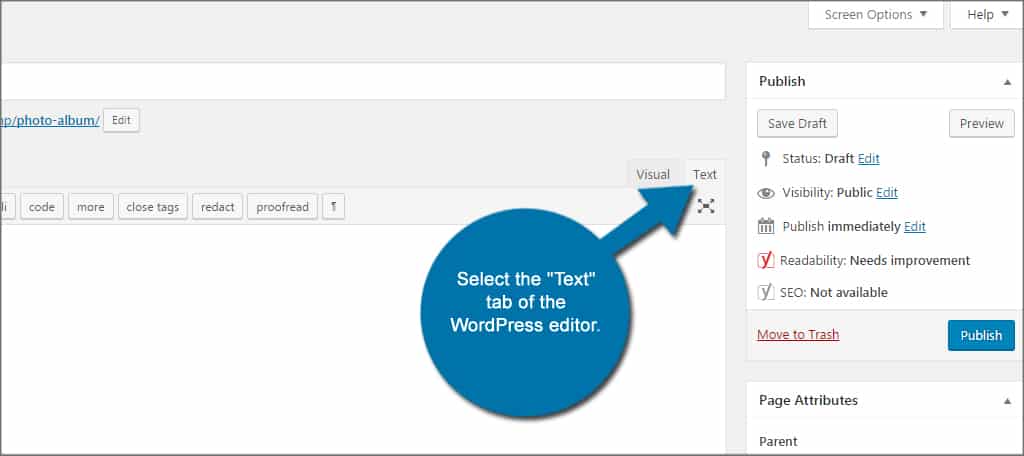 WordPress Text Editor