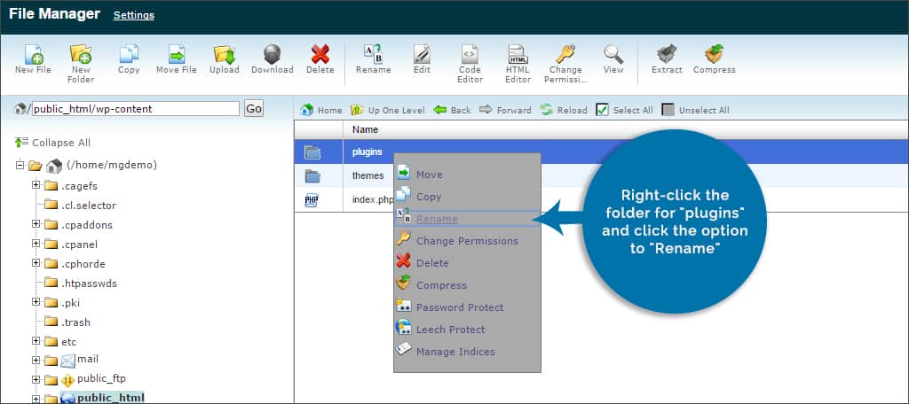 c panel plugins rename