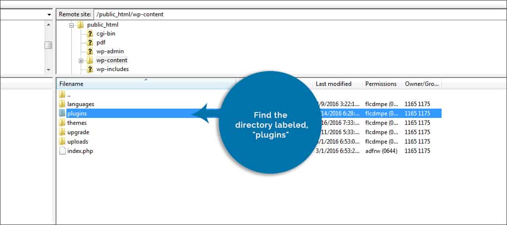 find directory labeled plugins