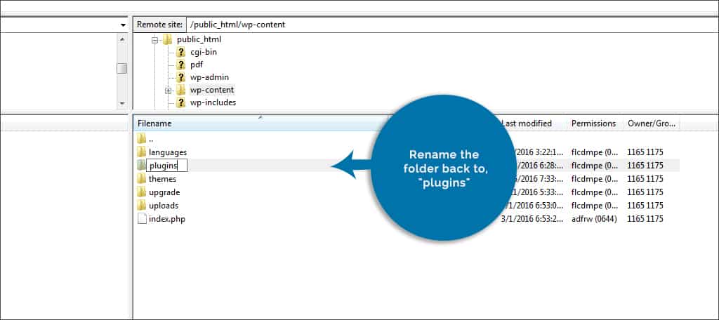 rename the folder plugins