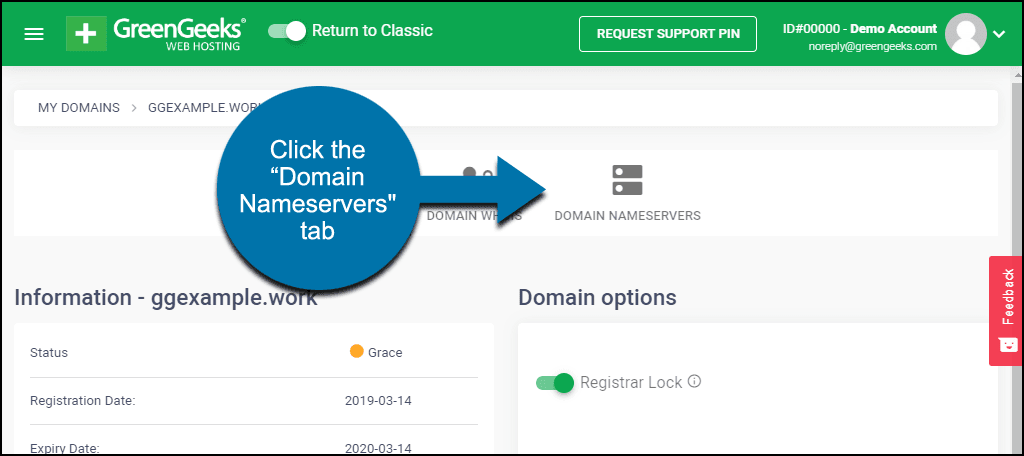 click the "Domain Nameservers" tab