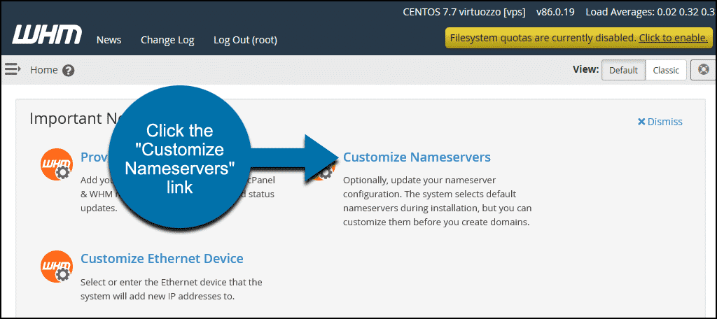 click the "Customize Nameservers" link