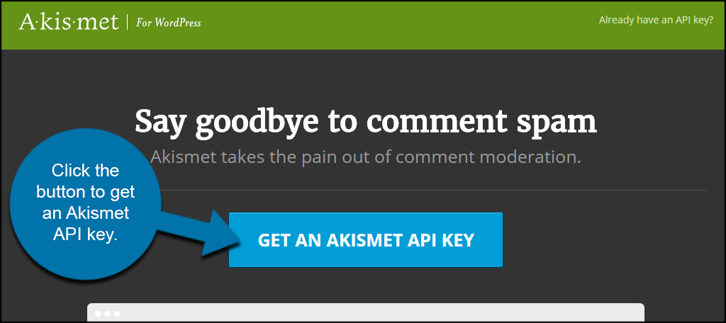 Akismet API Key