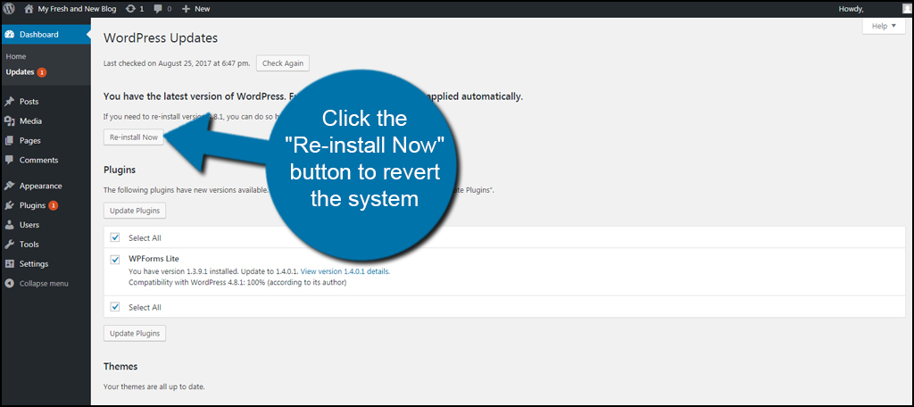 ReInstall WordPress