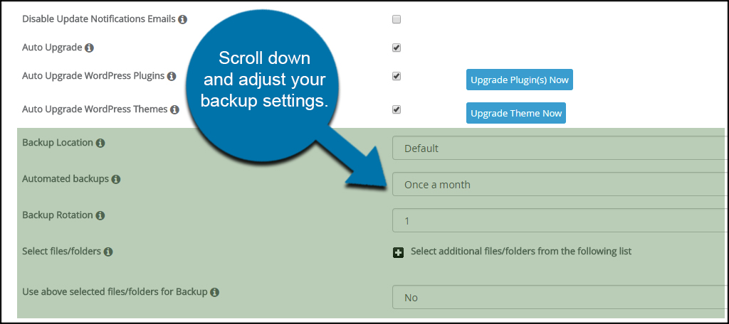 Backup Settings