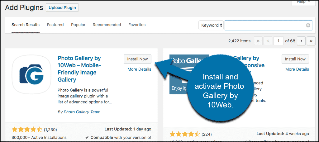 Install and activate wordpress image gallery plugin by 10web