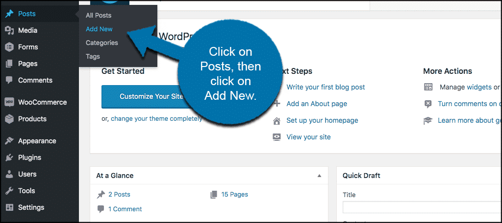 Click on posts then click on add new
