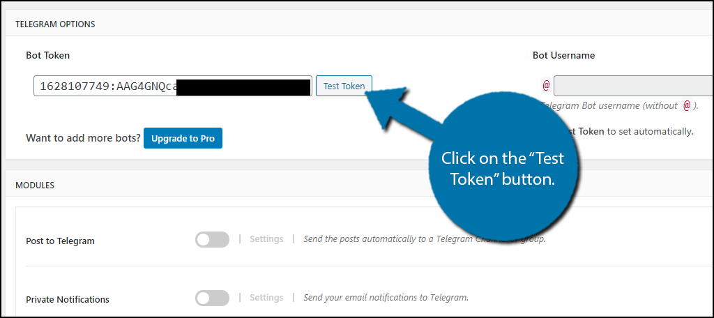 Test-Token