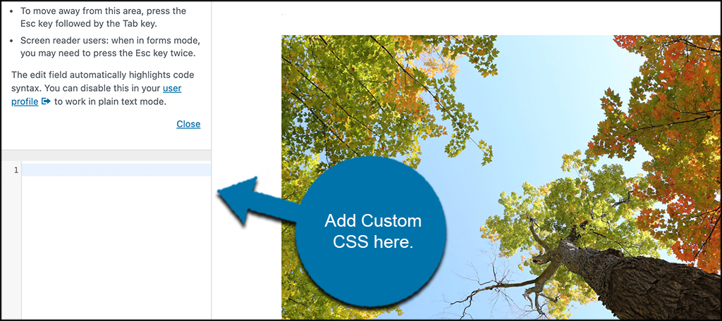 Add custom css box