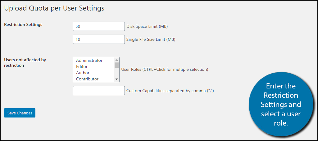 Restriction Settings for WordPress Upload Limit