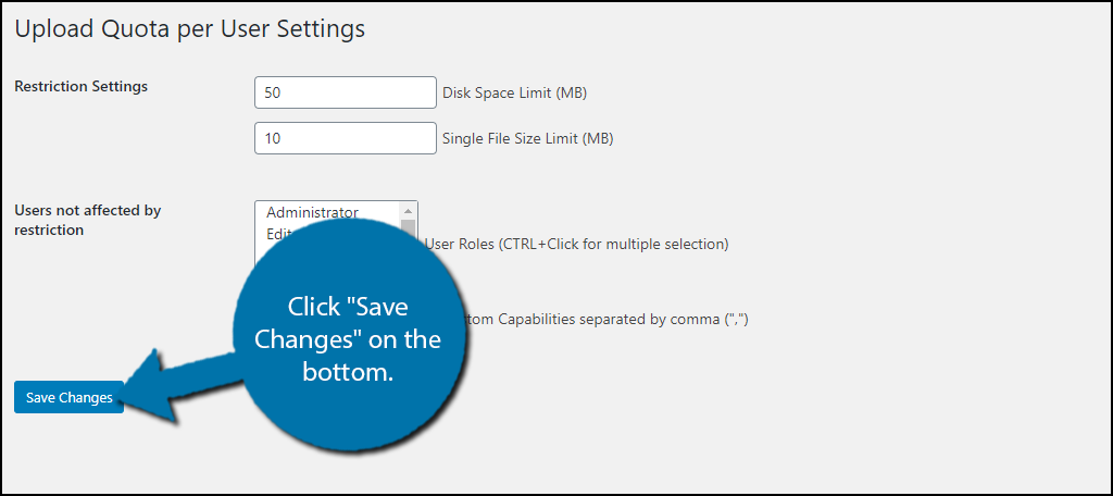 Save WordPress Upload Limit per User