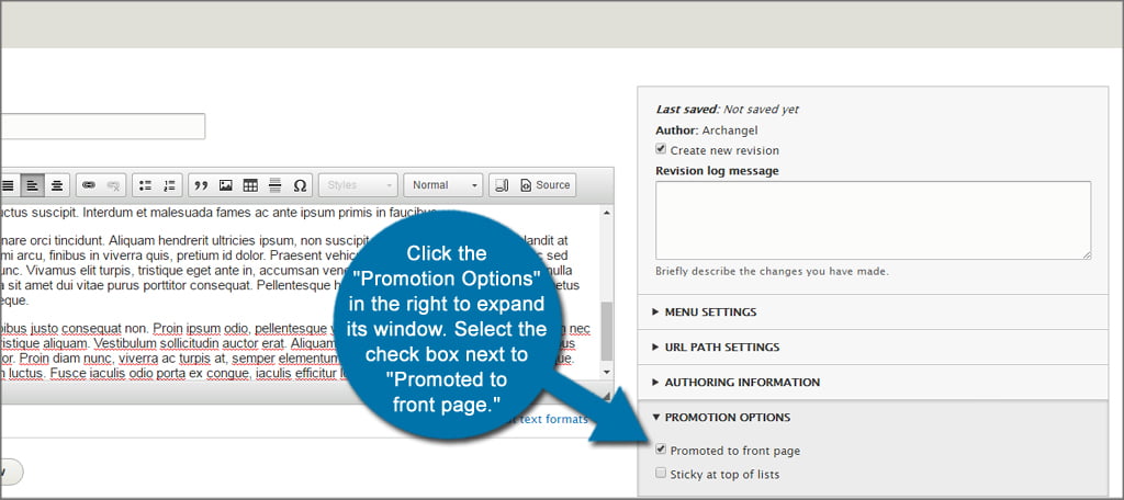 Drupal Promote Front Page