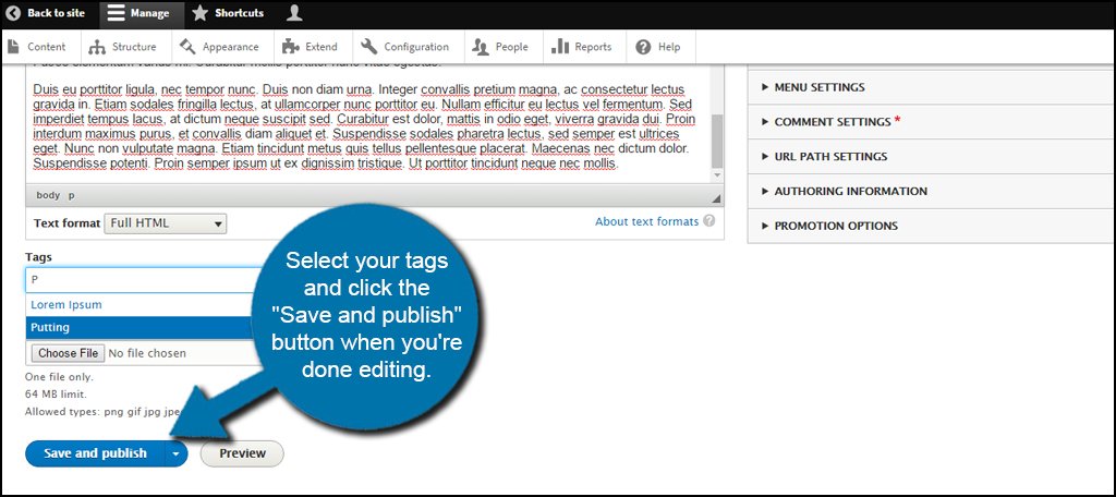 Drupal Select Tags