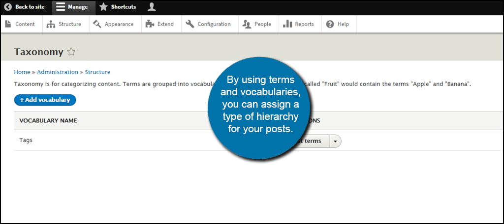 Drupal Taxonomy Vocabulary