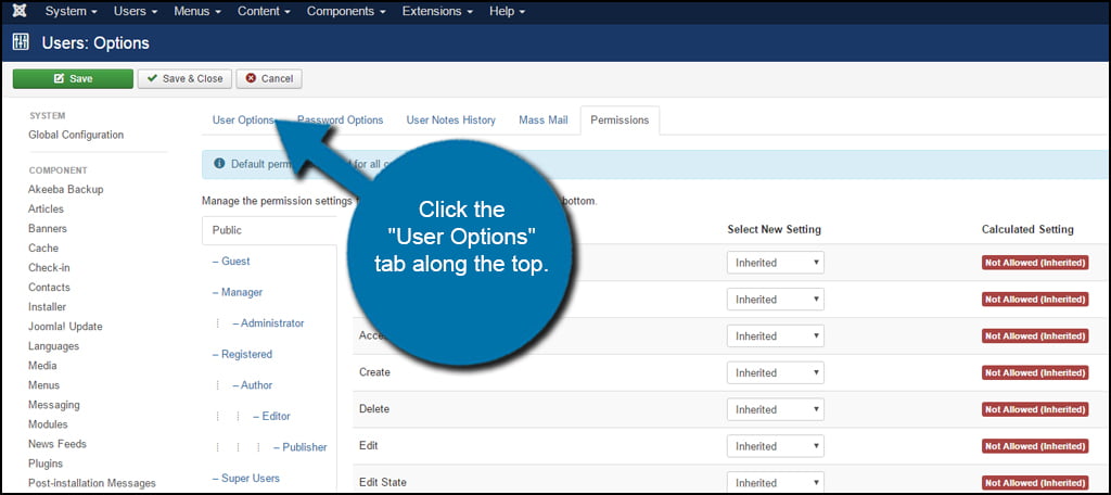 Joomla Users Options