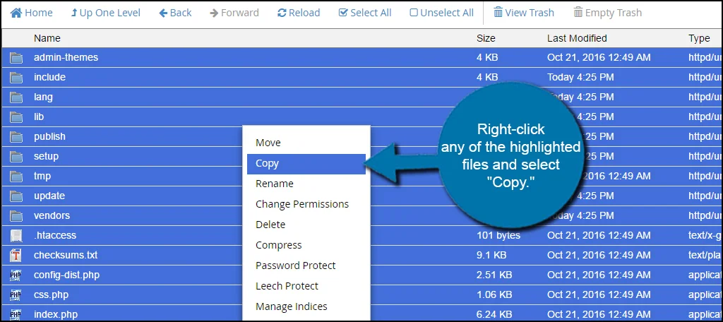 Select Copy