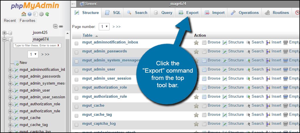 Export Magento Database