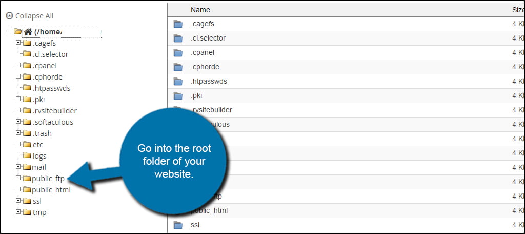 Website Root Folder to manually install magento