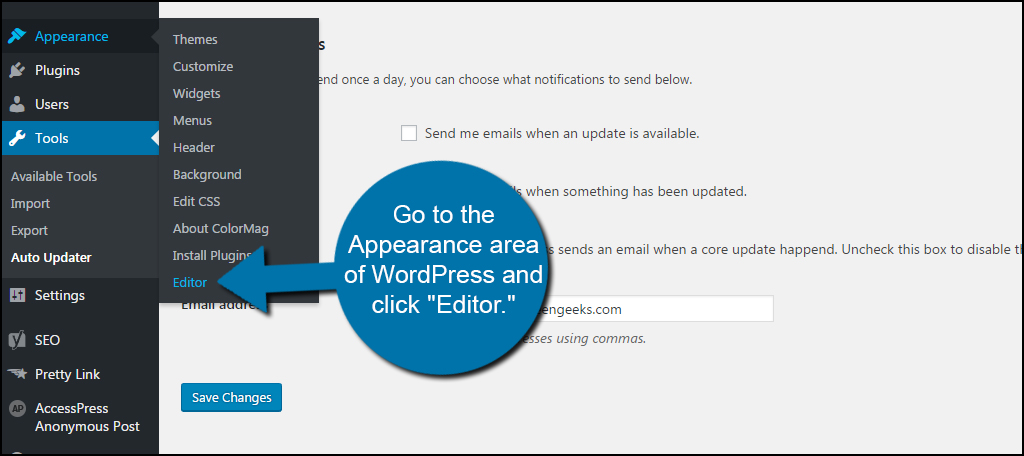 كيفية تحديث إضافات ووردبريس تلقائياً 5 محرر مظهر WordPress