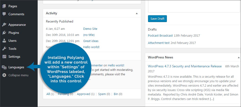 Polyland settings