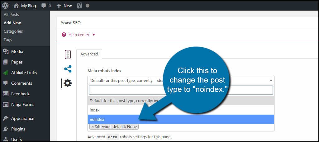 Noindex Option