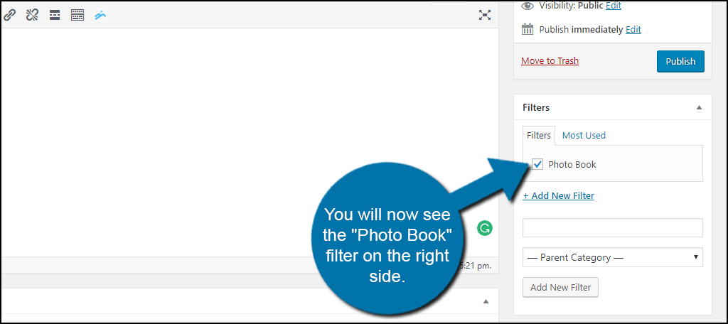 You will now see the "Photo Book" filter or what ever you named your filter on the right side. 