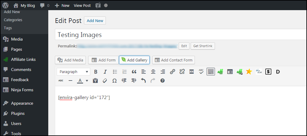 Adding Envira Shortcode