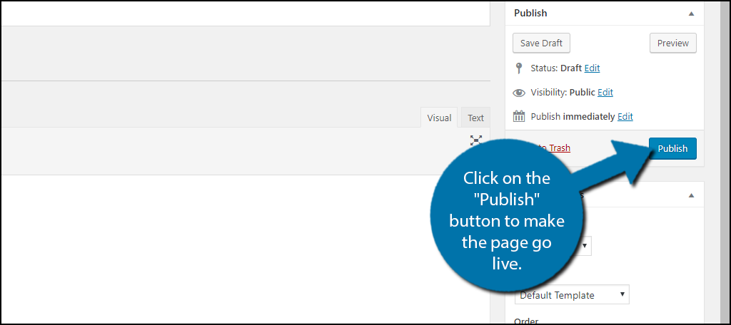 click on the "Publish" button 