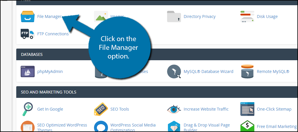 click on the File Manager option.