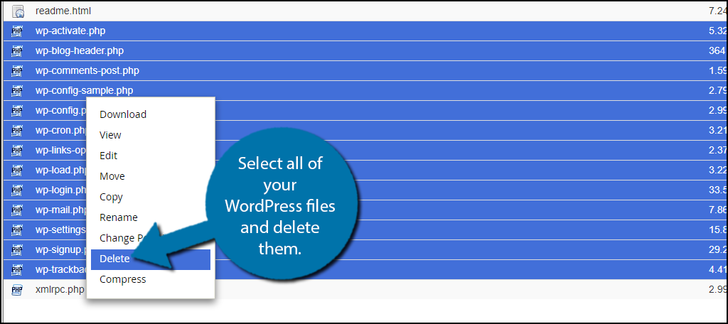 elect all of your WordPress files and delete them. 