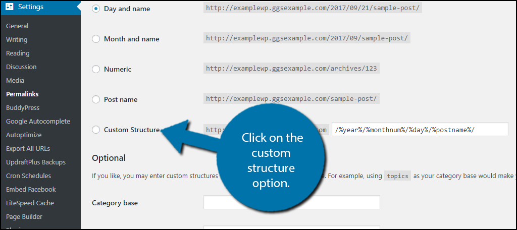 Click on the custom structure option to select it for use.