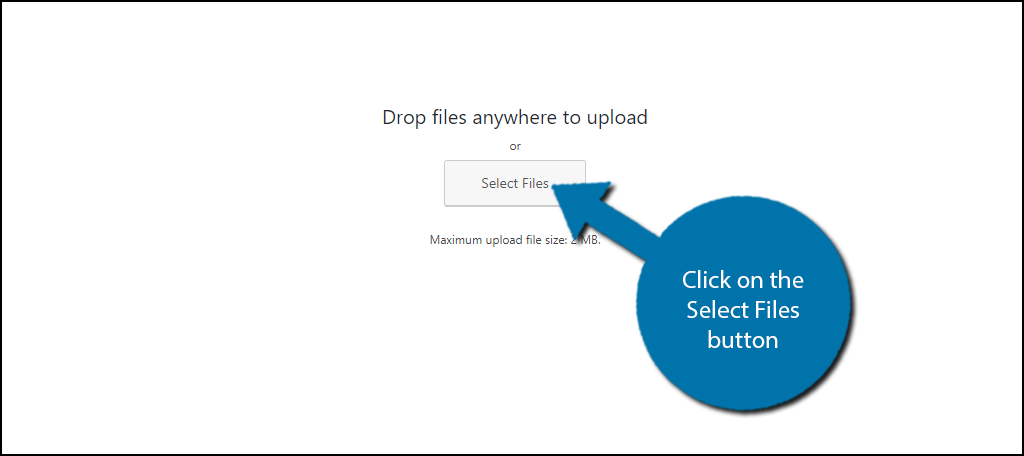 Click on the Select Files button