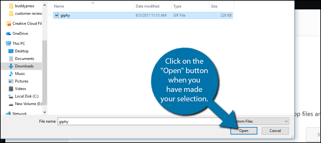 Click on the "Open" button when you have made your selection.