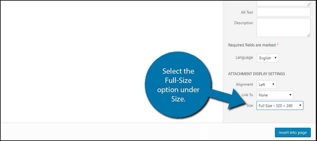 select the Full-Size option under Size.