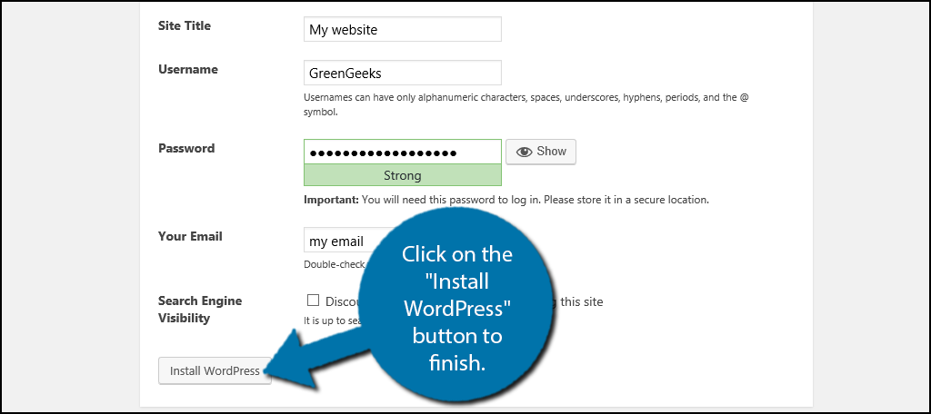 Click on the "Install WordPress" button to finish.