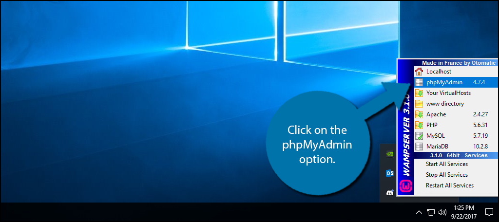 Click on the phpMyAdmin option.