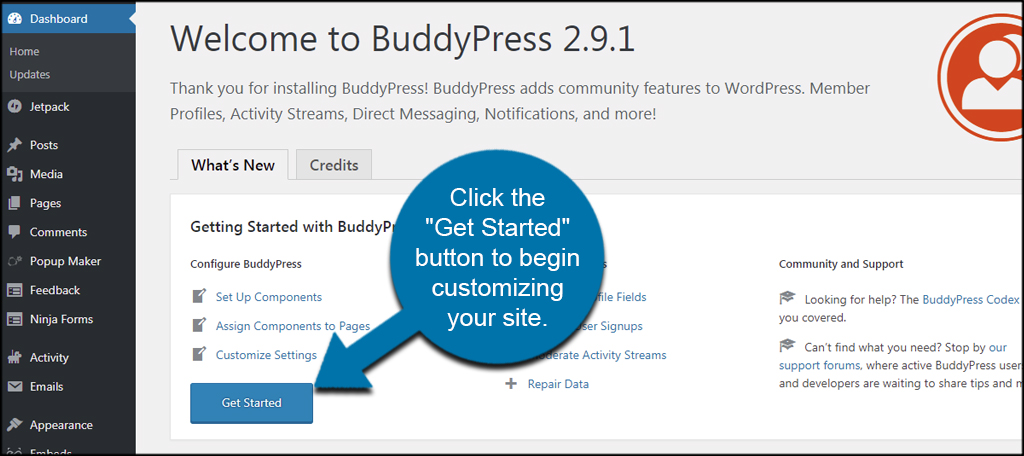 Customize BuddyPress