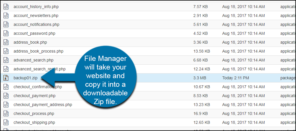 Downloadable Zip