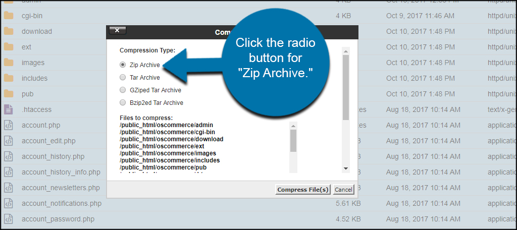 Zip Archive