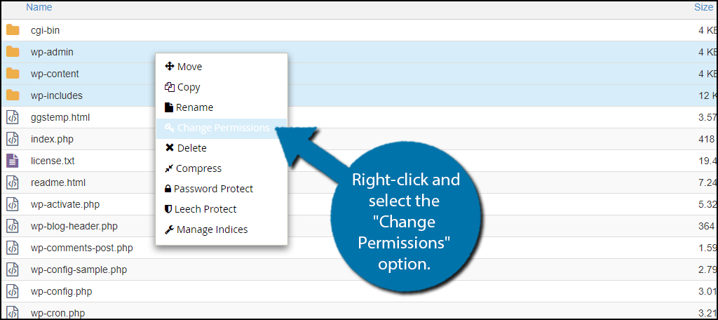 right-click and select the "Change Permissions" option.