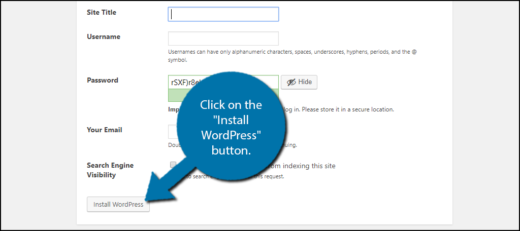 click on the "Install WordPress" button.